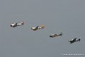 t6s_9058