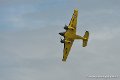 beech18_9068