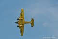 beech18_9069