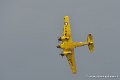 beech18_9357