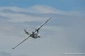 catalina_9143