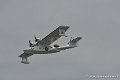 catalina_9677
