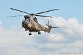 puma_8968