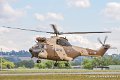 puma_8971