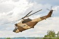 puma_8975