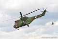 puma_8983