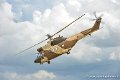 puma_9018