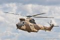 puma_9022