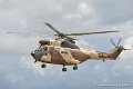 puma_9023
