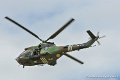 cougar_9014