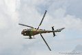 gazelle_8957
