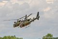 gazelle_9007