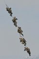 grappe_0061