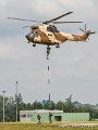 puma_0046