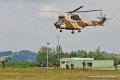 puma_0047