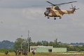 puma_0052