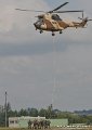 puma_0057