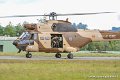 puma_8972