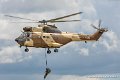 puma_9015