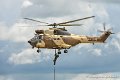 puma_9016