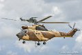 puma_9024