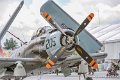 skyraider_9191