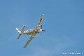 skyraider_9454