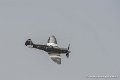 spitfire_9888