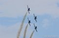 bretling_4502