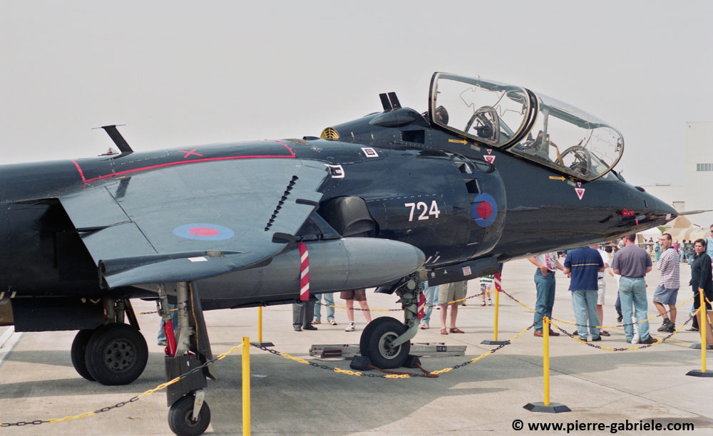 harrier_n590.jpg