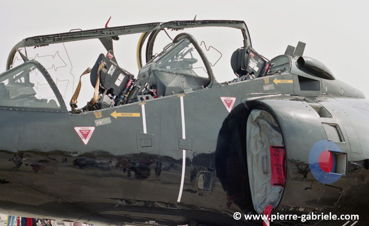 harrier_n591.jpg
