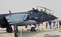 harrier_n590