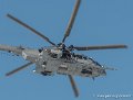 caracal-g93_3680