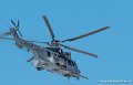 caracal-g93_3681