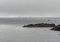 lespoulains-g91_8250