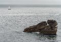 lespoulains-g91_8259