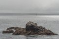 lespoulains-g91_8260
