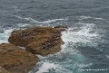 lespoulains-g91_8267