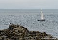 lespoulains-g91_8275
