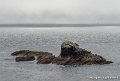 lespoulains-g91_8280