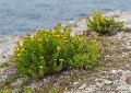 lespoulains-g91_8294
