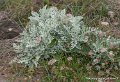 lespoulains-g91_8295