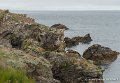 lespoulains-g91_8298