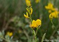lespoulains-g91_8302