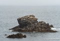 lespoulains-g91__8223