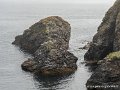 lespoulains-g91__8225
