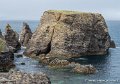 lespoulains-g91__8228