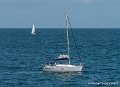 voiliers-g91_8117