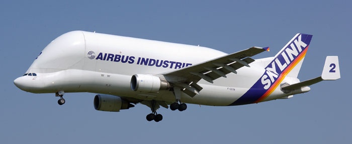 beluga12.jpg