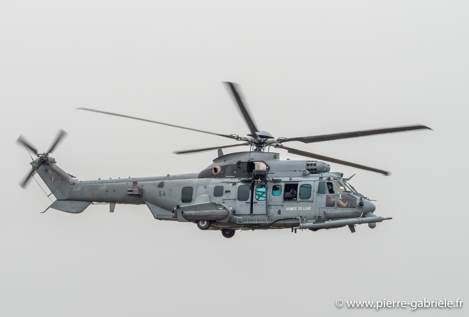 caracal-g91_6281.jpg